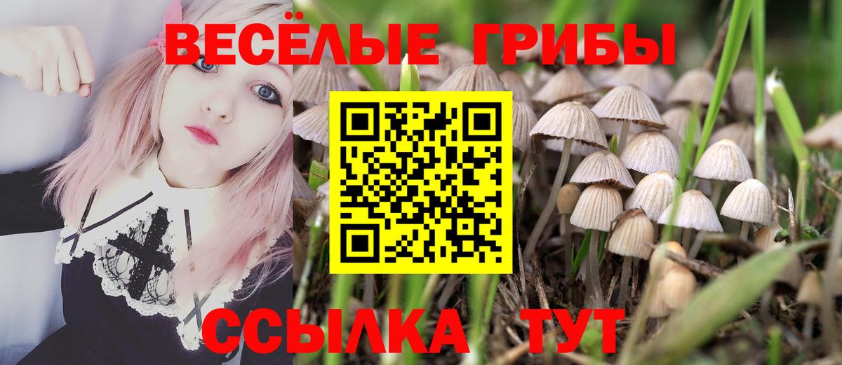 цены   Галлюциногенные грибы GOLDEN TEACHER  Домодедово  Вход с VPN  Псилоцибиновые грибы мухоморы 